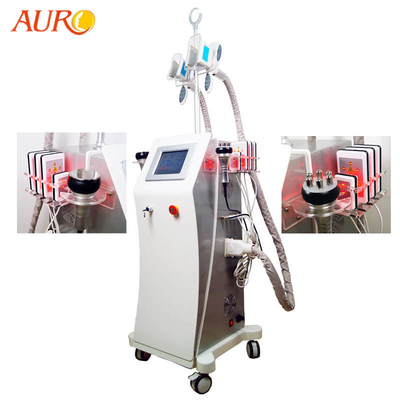 De cellulites grosse Cryolipolysis machine de congélation de Lipo rf 1000W pour le salon