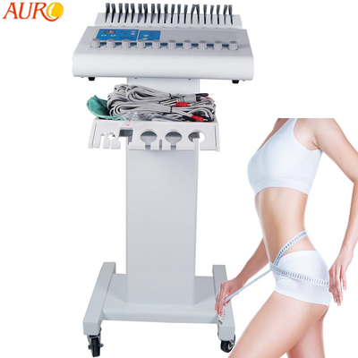 L'électro électrode de machine de stimulateur de muscle de SME capitonne des cellulites de festin de protection de sein