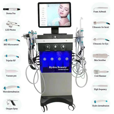 BIO LED Hydradermabrasion poignées faciales hydrauliques de la machine 120W 14 des soins de la peau