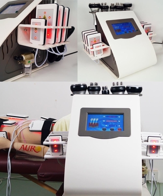 Machine 6 de cavitation de laser Lipo du salon rf dans 1 110V 220V pour la perte de poids