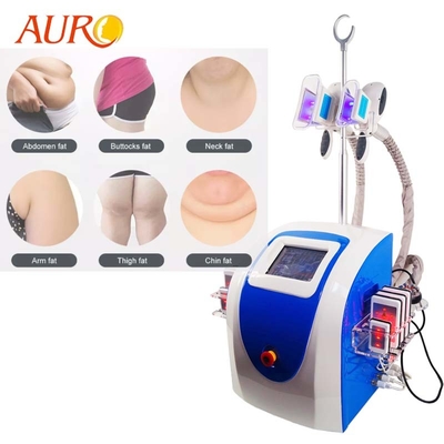 Degré Cryolipolysis de rf 360 amincissant la machine 4 dans 1 grosse machine de congélation de Cryo